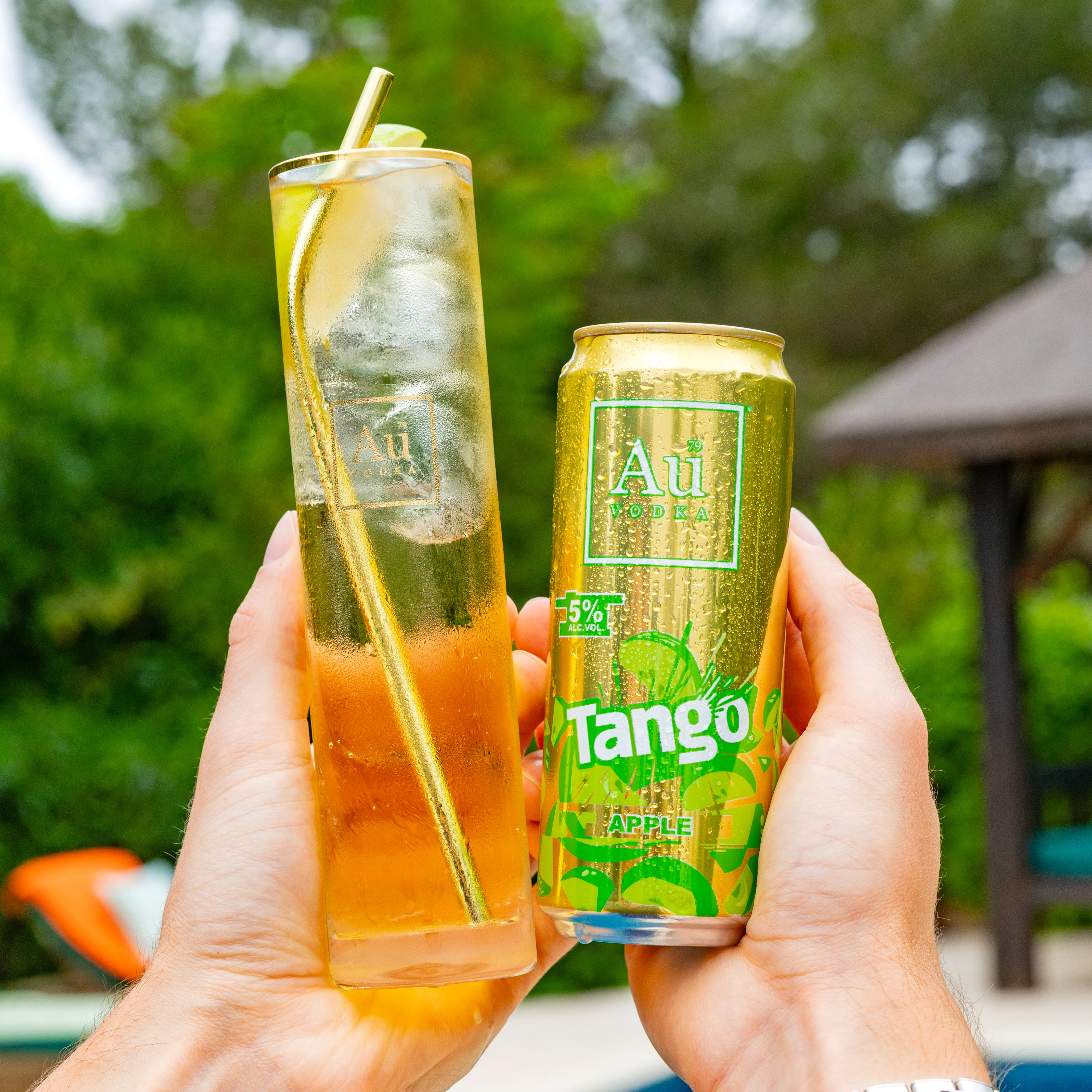Au Vodka x Tango Mixed Bundle - 24 Pack - Image 4